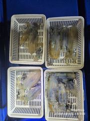 오늘의 무늬 사진