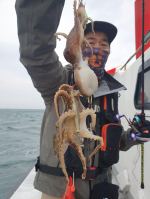 쭈갑백조황 글만 보기 사진