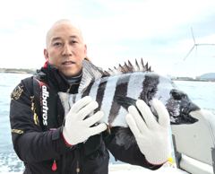 첫 돌돔낚시에 50cm 사진