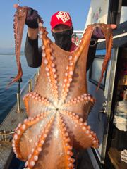 6월3일 문어출조 나왔습니다^^ 사진