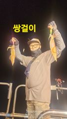 여수뉴스타피싱 6/15 한치이카조황 이번주부터 환상의 물때 시작됩니다!!! 내일부터 자리여유 사진