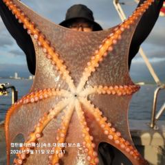 속초보스호 7/11 (토) 대(왕)문어조황 ...두자릿수 넉넉하게... 사진