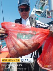 7월 23일 돌문어 출조 조황 ~~~ 사진
