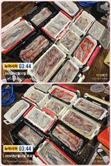 통영 뉴아시아호>>쏟아지는 대포 한치!! 일요일 26일 마지막 한치 출조~ 사진