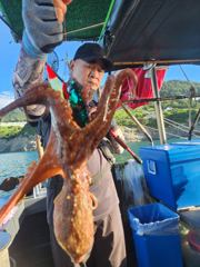 7월 27일 월요일 문어 조황!!! 사진