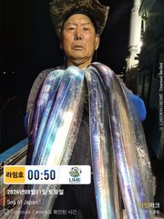 (통영라임호) 8월1일 입항 갈치조황! 다음주지리여유있습니다 연락주세요 ㅡ01023004931 사진