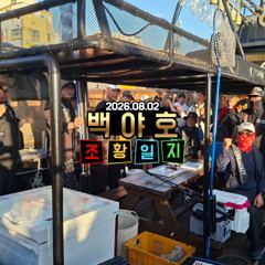 08.02 제주 백야호 한치 조황 사진