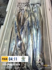 [통영라임호]8월3일 입항조황 살아나라살아나라. 01023004931 사진