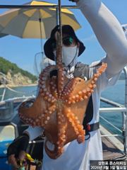8월 3일 문어조황 사진