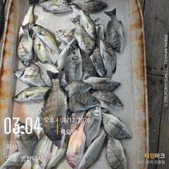 [고성] 병산 감성돔36외 마리수,농어 마리수 선외기 흘림조황~~ 사진