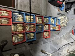 [거제] 거제신영호 무늬오징어 연일 초대박조황 사진
