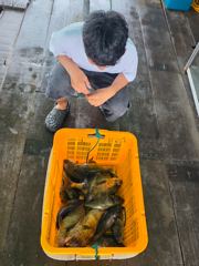 8월 17일,18일 조황입니다~^^ 사진