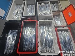 내만칼치,씨알좋아지고 !텐빈.루어 퍽퍽 엄청잡고~수,목,금욜 예약가능~ 사진