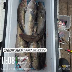 임원항드래곤호 왕대구 조황입니다 사진