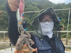 폭우이후 돌 문어 잡어러 출조확정... 사진