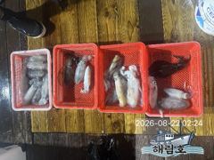 8월21일 무늬오징어 팁런조황입니다. 사진