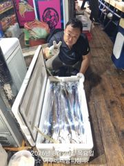 갈치 3지~6지까지 씨알좋은 녀석들이 쿨러가득 나오고 있습니다 화요일자리여유 갈수록 씨알이 좋아지네요 쿨러가득 채우러 가실분들 미리미리 연락주세요 사진