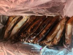 8월 22일 갈치텐빈 사진