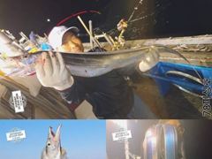 8월 22일 사진