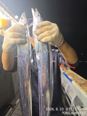 뉴새바다호 14석 갈치 3지 4지 오늘 예약됩니다 사진