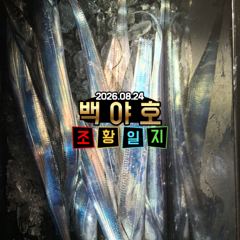 08.24 제주 백야호 한치 갈치 조황 사진