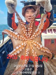 [여수,광양] 돌문어 출조 모집중 수요일(2일)~7일(월) 쭈꾸미전투 출… 사진