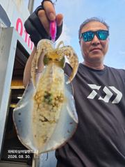 팁런)7분출조 총97수 장원21수 ~(1500만원 이벤트) 사진