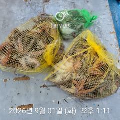 [사천] 암초 포인트 문어 낚시 사진