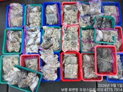 09,01 오성스타호 주꾸미 조황~ 사진