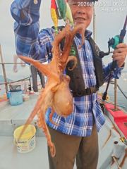 [거제] (문어)실시간 사량도 어장권 전원손맛 진행 中~3대호(3일 예약… 사진