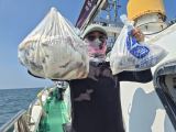 백조기 글만 보기 사진