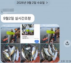 [마산] 마산 원전 선상낚시터 주간 고등어와 전갱이 사진