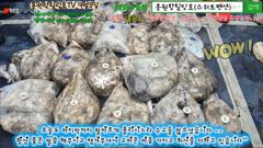 9월3일 홍원항힐링호 Very Good~ 쭈갑 조황~!오랫만에 오신분들이 많으셔서 걱정이 좀 됬지만...금방적응하시고 기록갱신하고왔네요 ㅋㅋ350수오바~ 수고들 많으셨습니다 ㅎㅎ 사진