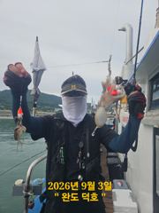 완도덕호 9.3 쭈꾸미 사진