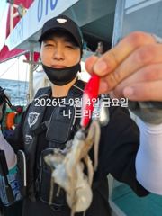 9/4일, 재미있는 군산주꾸미~ 오늘도 나오고 있어요~점점 좋아… 사진