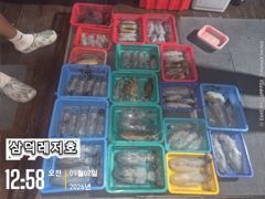 [팁런]기본 100수는 깔고 갑니다 (월요일부터,출항) 사진