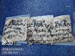 9월5일 쭈꾸미 오후짬낚시조황입니다 사진