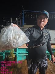 출조안내 - 9월5일 팀보스 선단 야간 문어 조황 사진