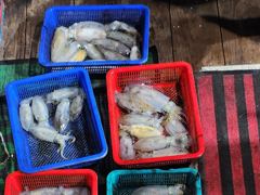 (南)남해조황 - 7일새벽 용가리급 내만갈치 진짜 크긴 크네요~!! 오늘 예약가능 사진