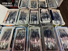 갈치한치조황++ - (갈치)꾸욱~텐빈에 5지4지3지 大치와의 사투~고고피싱(8일 예약) 사진
