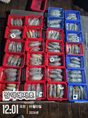[팁런]똥바람통에도,무늬,"퍽퍽"(화요일,출항확정 ,자리널널) 사진