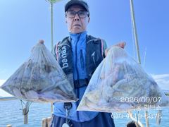 [고흥,녹동] 9월 7일 문어 조황입니다. 사진