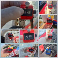 9/7(월)168수외 느나~쭈꾸미조황!!서너분제외 세자리수오버!!9일(수)황금물때ㅡ자리여유!! 사진