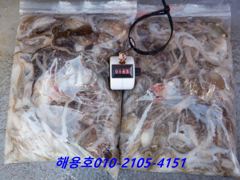 26년9월7일조황 사진