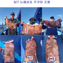 조황정보 - 9월 7일 주꾸미 조황 - 오천학성낚시,배,바다,선상 낚시 사진