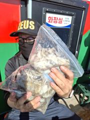 오늘의 조황 - 9월7일 쭈꾸미 출조 - 영흥도 아이리스호 루어다운샷외수질 사진