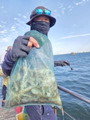 [시간낚시]9월8일인천배낚시덕적호쭈갑조황사진1부 사진