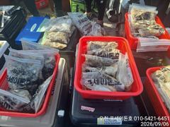 오늘의조황 - 9/6일 오천항 포세이돈호 쭈꾸미/갑오징어 출조조황 - 포세이돈호 사진