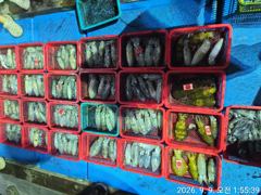 무늬오징어 버글버글 ᆢ 내일 부텨. 축 ~ ,금 토, 일 예약가능 사진