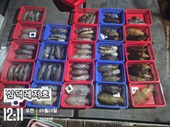 [팁런] 일인두자리수는 가뿐히,넘기고 (금,일요일출항확정) 사진